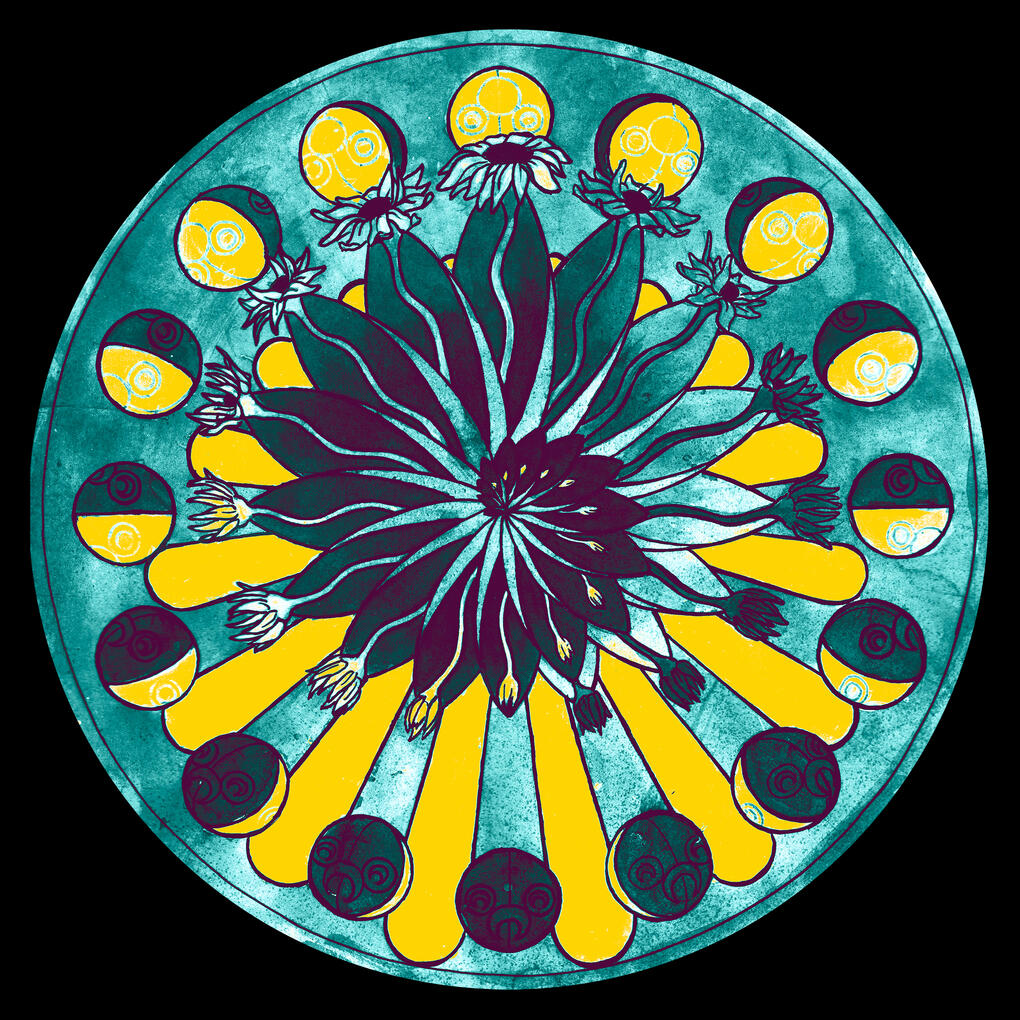 Animation